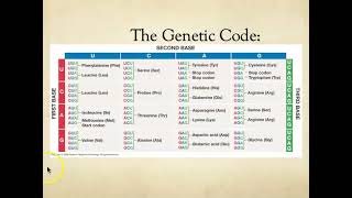 BIO312 Mutations (#2of3)