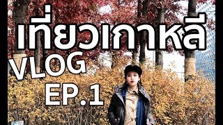 Nhee Teaw EP.17 VLOG เที่ยวเกาหลี Seoul Korea part1 MILLE Trip ล้านวอนนอนกับหมีบราวน์ | Ploiawait