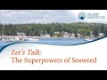 Let's Talk: The Superpowers of Seaweed