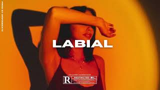 (FREE) Omar Courtz Type Beat Alejo - "Labial" | Reggaeton Type Beat 2024