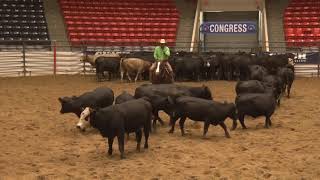 191001 NCHA Congress Novice Horse David Spencer on Stop N Traffic