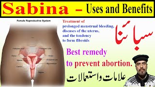 Sabina 30 Homeopathic Medicine uses | Best remedy to prevent abortion | prolonged menstrual bleeding