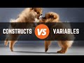 What Are Research Constructs And Variables? Simple Explainer With Examples