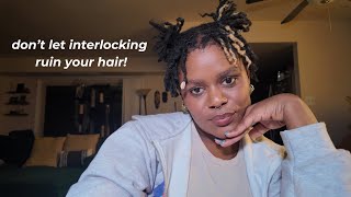 The dangers of interlocking locs | Things that could go wrong | Loctician Advice