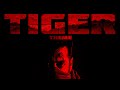 The Tiger Theme (SV Rendition) Slowed & Reverbed | Salman Khan | Tiger 3 BGM | YRF Spy Universe