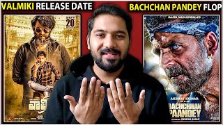 Valmiki Hindi Teaser - Bachchhan Paandey Flop | Valmiki Hindi Release Date | Valmiki VS Bachchhan