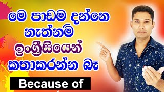 How to use Because of | Spoken English in sinhala