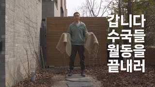 수국 월동 해제와 칼슘유황비료 주기 | 3월초 가드닝과 정원 가꾸기