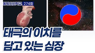 동방신선학교 [274회] 태극의 이치를 담고 있는 심장의 기능 / 동방신선학교 수행의 시간