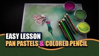 EASY Pan Pastel & Colored Pencil Tutorial #coloredpencil