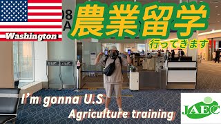 【農業留学🇺🇸】ついにアメリカに1年半農業留学行ってきます🧑‍🌾