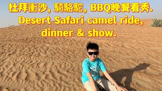 杜拜沙漠越野衝沙, 騎駱駝, BBQ晚餐看秀. Dubai desert Safari dune bashing, camel ride, BBQ \u0026 show.