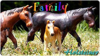 |Family°1| Les Holsteiner Schleich