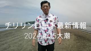 知林ヶ島　砂州渡り　チリリンロード最新情報