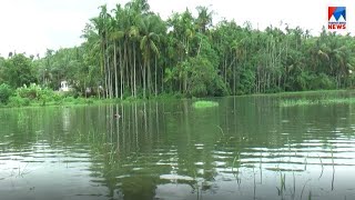 വയൽക്കിളികളുടെ അവകാശവാദത്തിന് ബലമേകി കീഴാറ്റൂരിലെ മഴക്കാല കാഴ്ചകൾ | Keezhattur rain