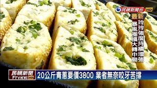 豪雨菜價漲!  青蔥價飛漲5倍－民視新聞