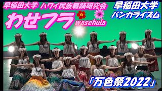 『万色祭2022』早稲田大学バンカライズム-万色主義-主催イベント　今年のテーマは『祭り』🏮早稲田大学ハワイ民族舞踊研究会【wasehula】単独演目2曲