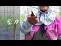 746山海誌 百工說族語《台東南王部落 》promo