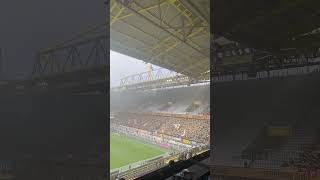 Dynamo-Fans In Dortmund (BVB - Dynamo Dresden) #shorts
