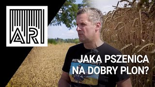 Jaka pszenica na dobry plon? || AR #124