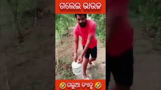 ଗଲେଇ ଭାଉଜଙ୍କର ଆସ୍କା 40 କମାଲ 🤣🤣🤣