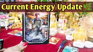 ❇️Current Energy Update🌿 With Messages🧿All Signs Collective Timeless Tarot Reading In Hindi 🌈