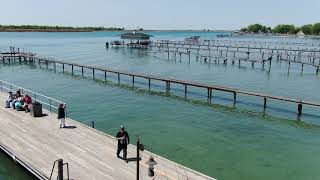 No Limits Fishing Adventures - Anchor Bay Chamber of Commerce - ribbon cutting 2022