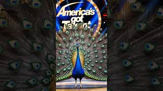 Magic. Shocking Transformation on America's Got Talent: From Ordinary to Extraordinary! #shorts #agt