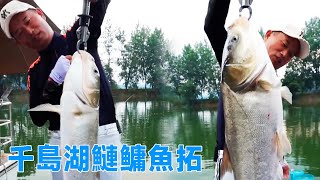 鄧剛釣魚：會見千島湖魚拓大師，作品少了鰱鳙，於是鄧剛要釣個完美樣品上來！【天元邓刚】