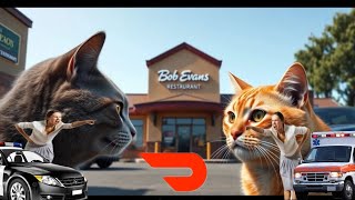 DoorDash Driver Witnesses WILD Women Cat Fight At Bob Evans!