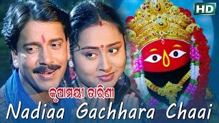 NADIAA GACHHARA CHAAI | Album-Krupamayee Tarini | Arabinda Muduli | Sarthak Music | Sidharth Bhakti