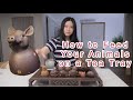 【TAISHAN TEA CLUB泰山茶道】How to Feed Your Animals on a Tea Tray茶桌上的动物怎#teawares#tea pet#tea ceremony