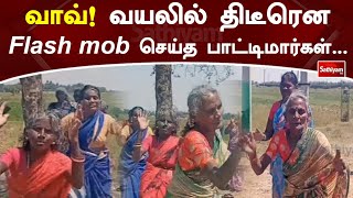 வாவ்! வயலில் திடீரென Flash mob செய்த பாட்டிமார்கள் | SathiyamTV