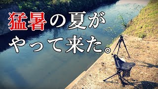 暑い、暑すぎる・・・けど楽しいw 【夏のタナゴ釣り】