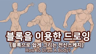 블록을 이용한 전신 드로잉 시범 - 오쌤인체해부학(Anatomy Teacher O)