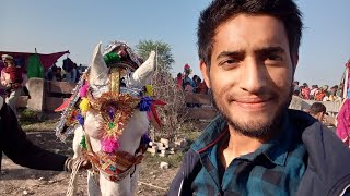 CULTURE | AAMGHAT KA MELA | BUNDELI SWAG | HAMARA  PYARA  BUNDELKHAND | FIRST VLOG |