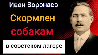 Иван Воронаев за проповедь Евангелия был скормлен собакам в советском концлагере