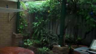 Baz's hobbies - 13A - Australia Perth Melville  Palmyra, Heavy Rain Unit back yard