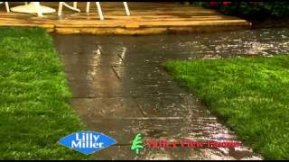 LILLY MILLER MOSS OUT #17.wmv