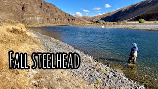 Fall Fly Fishing For WILD Summer Steelhead (Spey Fishing Pt 1)