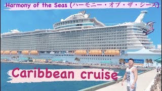 Harmony of the Seas（ハーモニー・オブ・ザ・シーズ）乗客乗員８０００名！動く街！