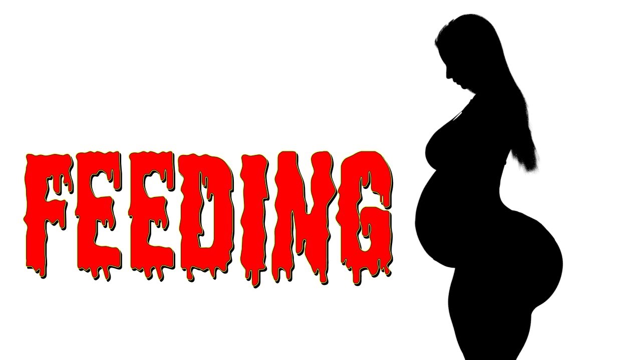 Animation Feeding Youtube