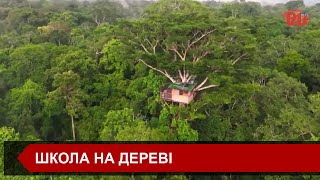 Освіта в екстремальних умовах: навчальний центр на дереві збудували в джунглях Перу