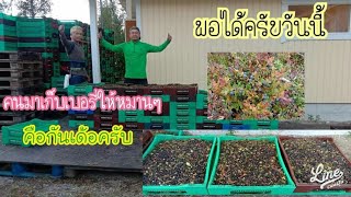 เก็บบูลเบอรี่ป่าฟินแลนด์ปี2564 Ep.5