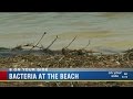 2 St. Pete beaches remain closed after high levels of fecal bacteria found in water