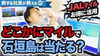 40歳ひとり旅。JAL「どこかにマイル」に挑戦！ランダムで旅行地決定【国内旅行】