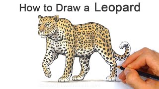 How to Draw a Leopard | Colored Pencil Tutorial
