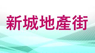 [新城地產街]專訪: 資深規劃師陳劍安    團結香港基金土地及房屋研究主管葉文祺