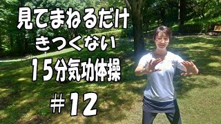 【12】15分体操で運動不足解消【ストレッチ】【深い呼吸】【筋トレ】【宅トレ】【15min Qigong】【Daily Routine】