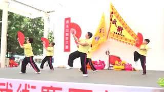 全民運動日暨中華武術慶回歸2018 - 粤港澳武術聯盟協進會與梁日初太極學會合辦 - 表演節目15